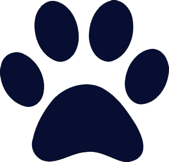 Trička se zvířaty